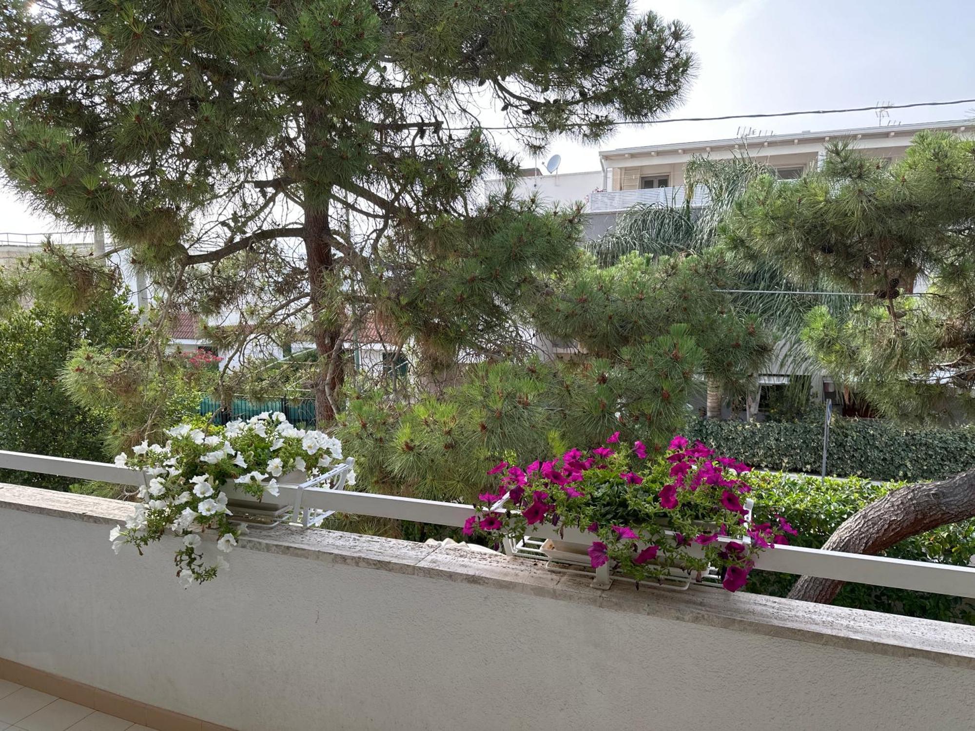 Villa Teresa Maria Порто-Чезарео Экстерьер фото